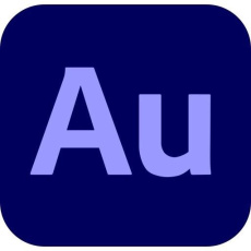 Audition for teams, Multi Platform Viacero jazykov Government, 1 používateľ, 12 mesiacov, Level 4, 100+ Lic