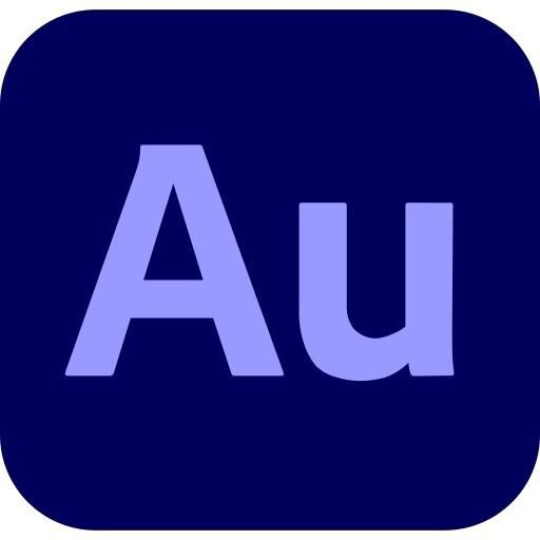 Audition for teams, Multi Platform Viacero jazykov Government, 1 používateľ, 12 mesiacov, Level 4, 100+ Lic