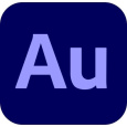 Audition for teams, Multi Platform, Viacero jazykov Government, 1 používateľ, 12 mesiacov, Level 4, 100+ Lic