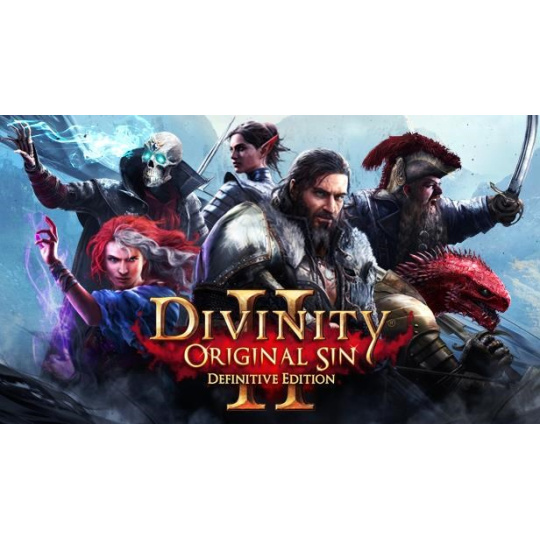 Divinity: Original Sin (PC) klíč GOG