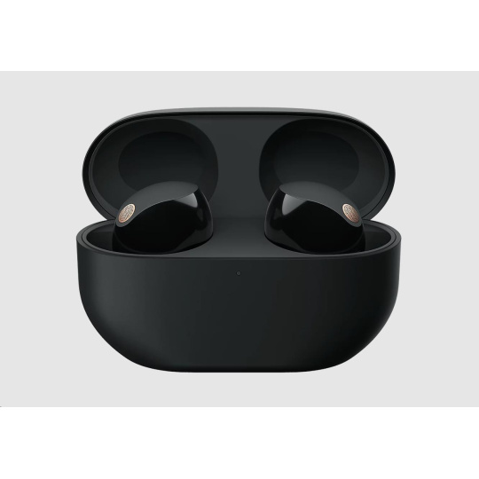 BAZAR - Sony bezdrátová sluchátka WF-1000XM5, černá, EU - poškozený obal