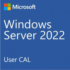 DELL_CAL Microsoft_WS_2022/2019_50CALs_User (STD or DC)