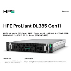 HPE PL DL385g11 AMD EPYC 9115 (2.6/16C) 2x32G (P64985) 1x7.68TB NVMe MR408i-o 2x1000W 8SFF 2p10GT Smart Choice HPE PL DL385g11 AMD EPYC 9115 (2.6/16C) 2x32G (P64985) 1x7.68TB NVMe MR408i-o 2x1000W 8SFF 2p10GT Smart Choice
